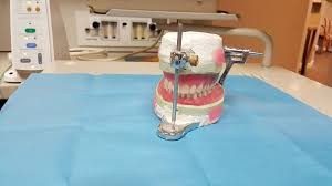 Orthodontist 2