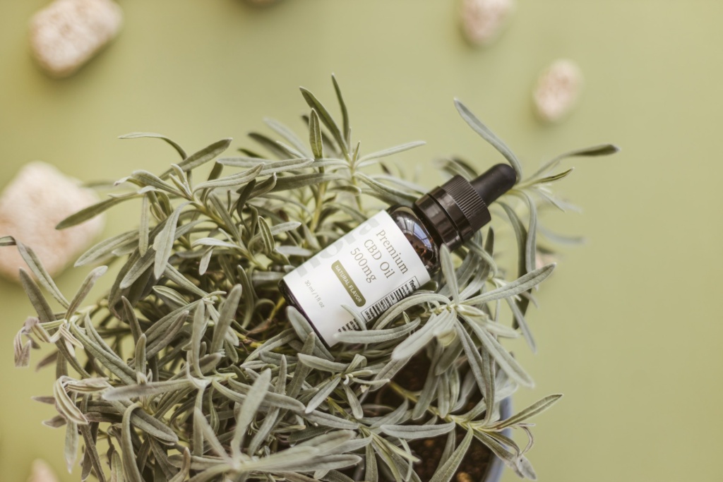 cbd oil